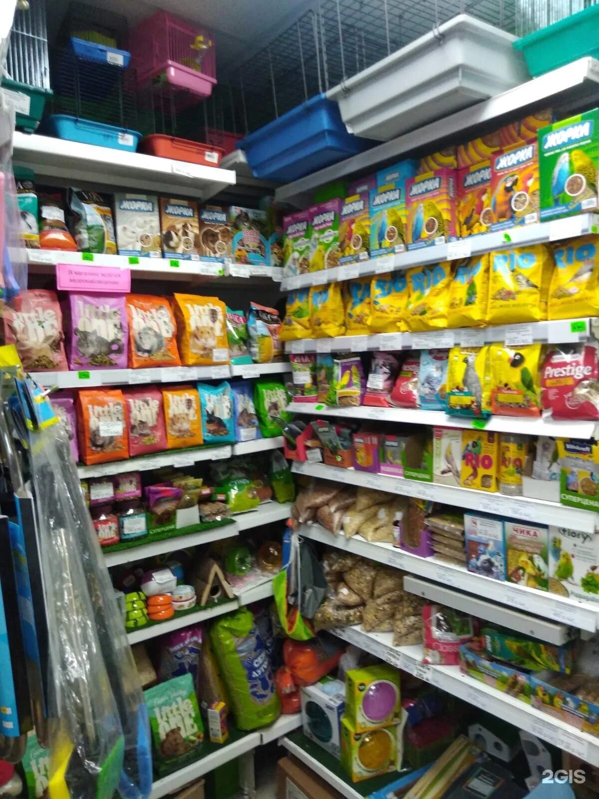 чита ул столяров 40. столярова 40 чита. чита чита коте. парк одора кот ученый. кот бегемот чита одора.