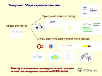 Урок общая характеристика