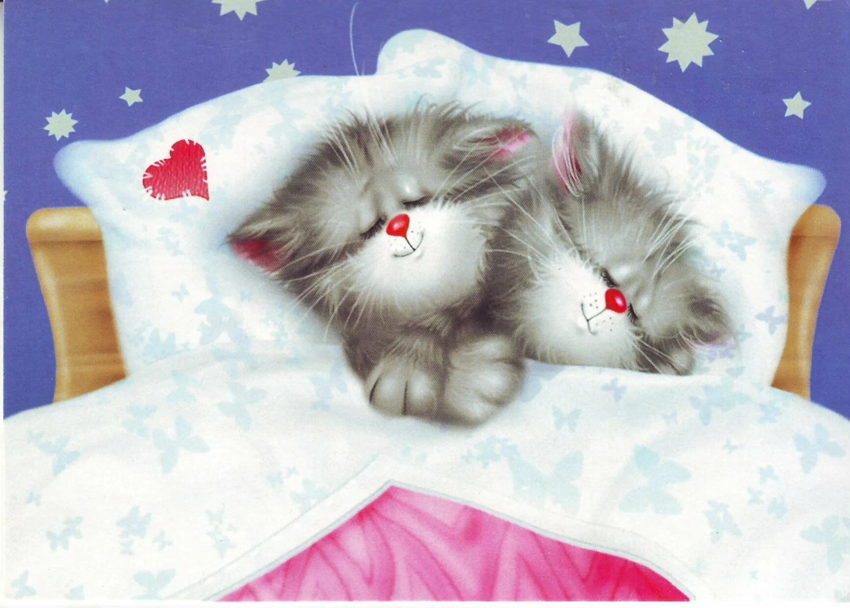 В нежную кис. Спящие котята. Спокойной ночи котики. Котенок. Спокойной ночи!. Сладких снов котик.