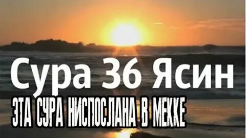 Ясин учимся