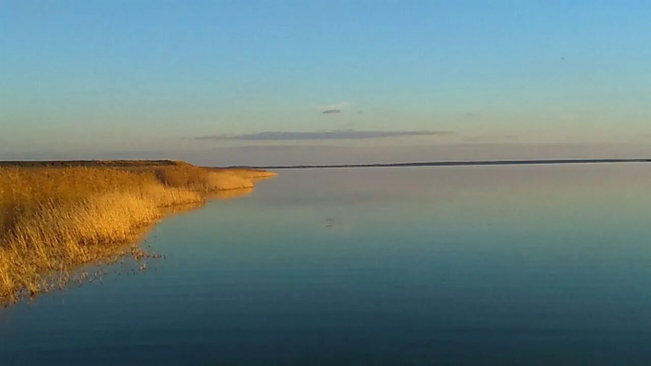 Погода озеро медвежье курганская. Озеро Медвежье Курганская. Озеро Медвежье Курган. Курган соленое озеро. Озеро Медвежка Курган.