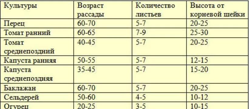 Срок посадки семян томатов. Возраст рассады перцев для высадки в открытый грунт. Таблица рассады овощей для высадки в грунт. Таблица посева рассады в грунт. Возраст рассады овощей для высадки в грунт таблица.