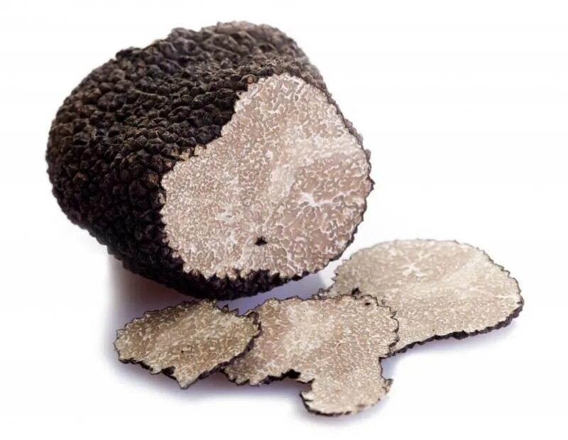 How to get truffle worms fisch