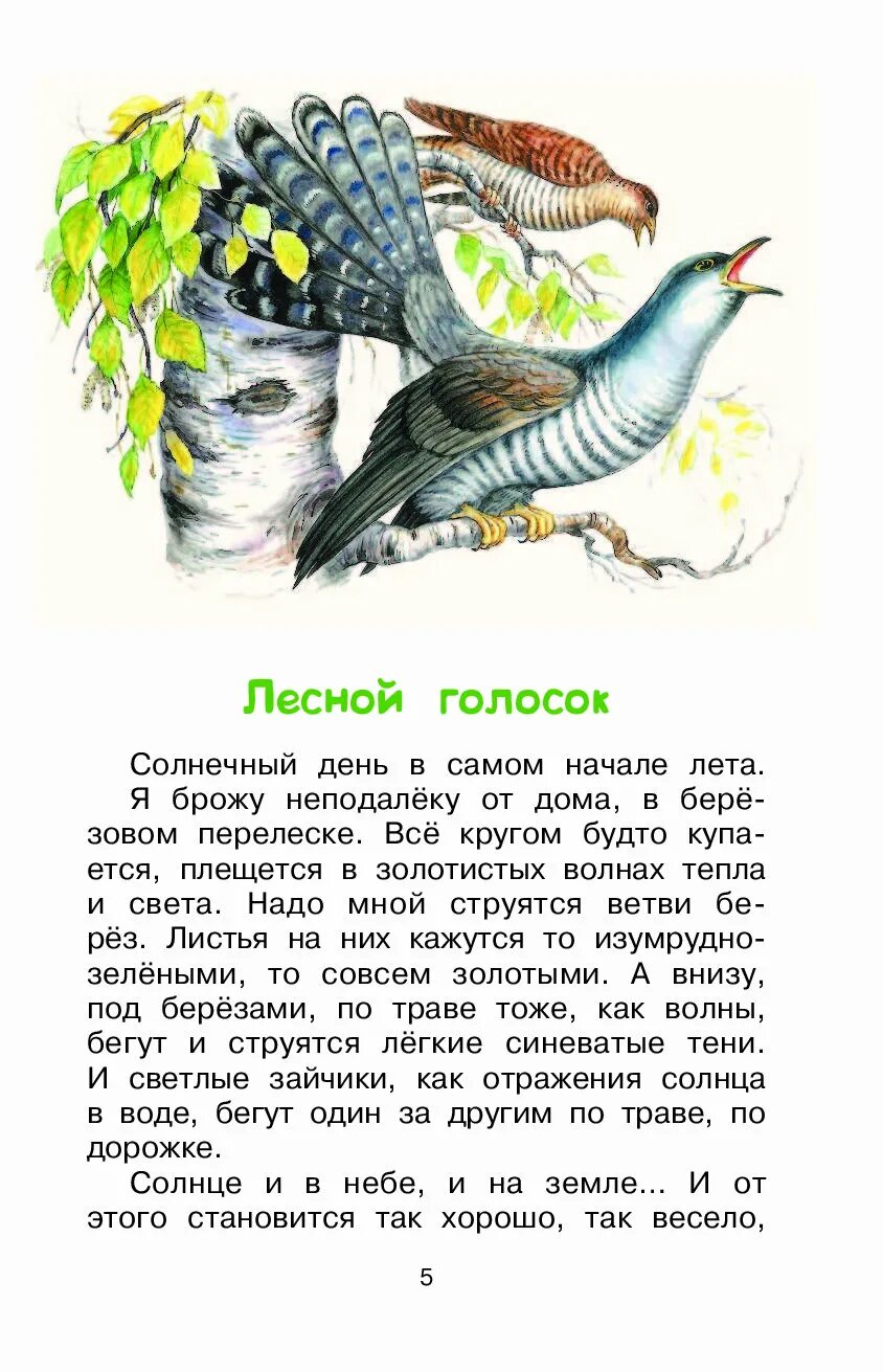 Рассказ Скребицкого Лесной голосок. Прочитать рассказы Скребицкого "Лесной голосок".