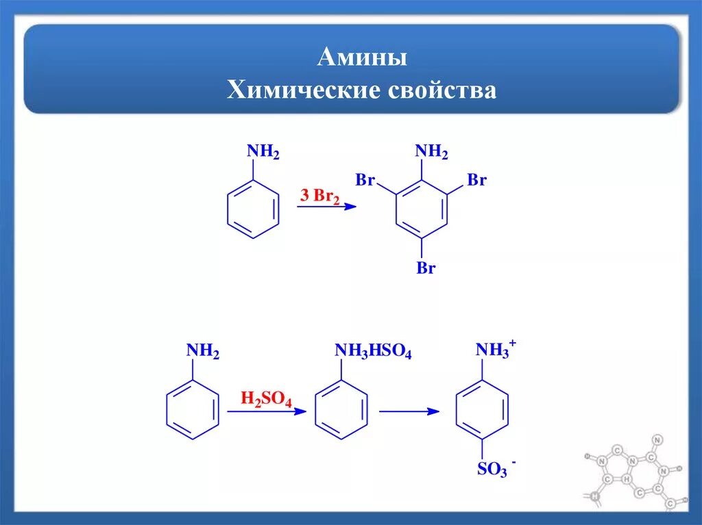 Амины проявляют основные. Ароматические Амины общая формула ряда. Химические свойства ароматических Аминов. Амины основные свойства. Примеры ароматических Аминов.
