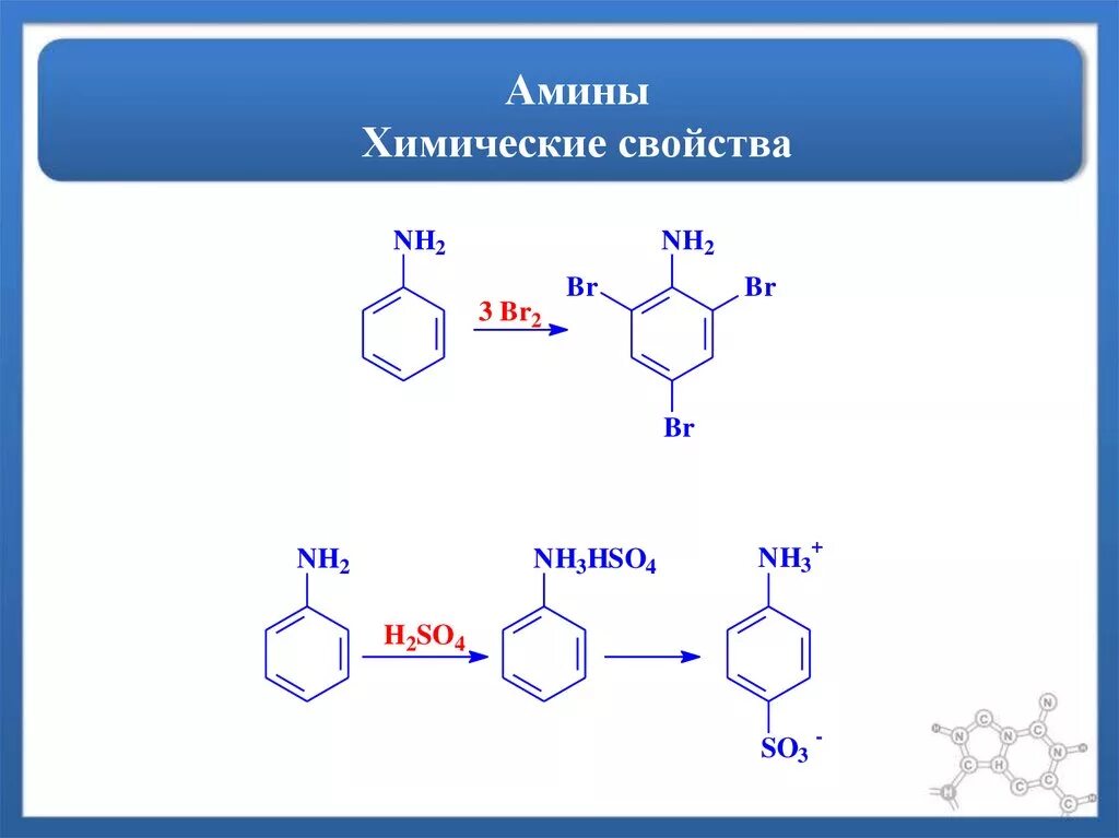 Ароматические Амины общая формула ряда. Химические свойства ароматических Аминов. Амины основные свойства. Примеры ароматических Аминов. Амины проявляют основные