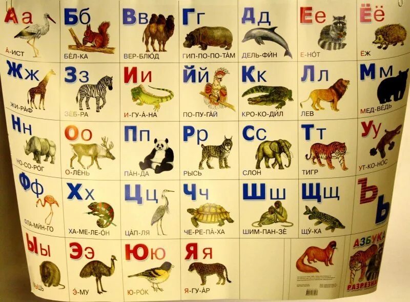 Животные на букву а. Азбука с животными. Названия животных по алфавиту. Животные на бдукеуву и. И т д и заканчивая