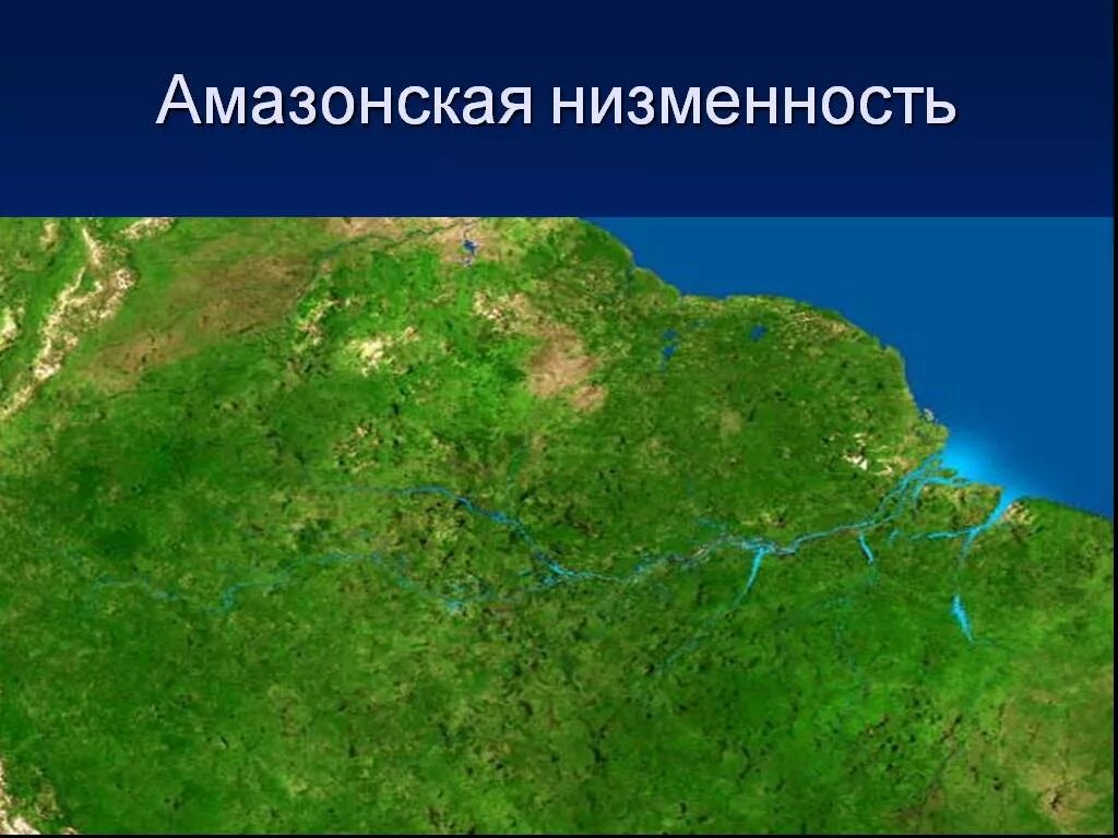 На каком материке находится амазонская низменность. Равнина Амазонская низменность. Карта амазонской низменности с реками. Местоположение амазонской низменности. Амазонска я неизменность.