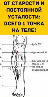 Точка бессмертия