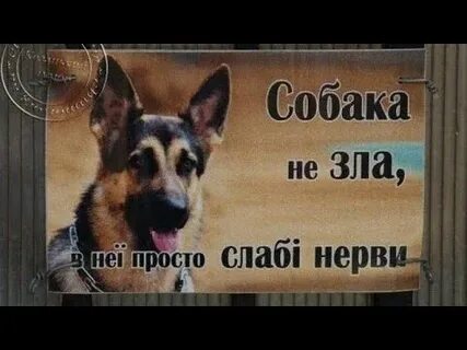 Просто зол