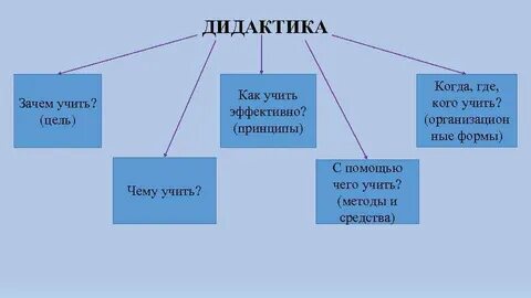 Дидактика вопросы