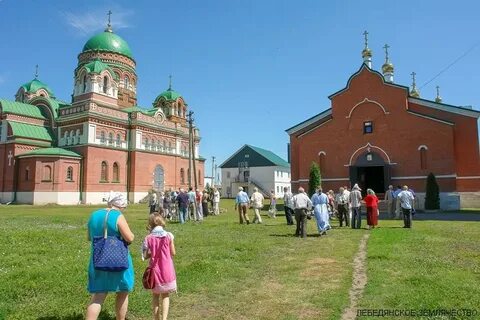 Сколько лебедянь