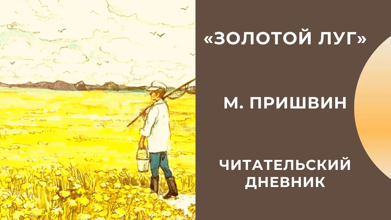 Пришвин золотой. Книга. Пришвин м. Пришвин золотое поле. Книга пришвина золотой луг.