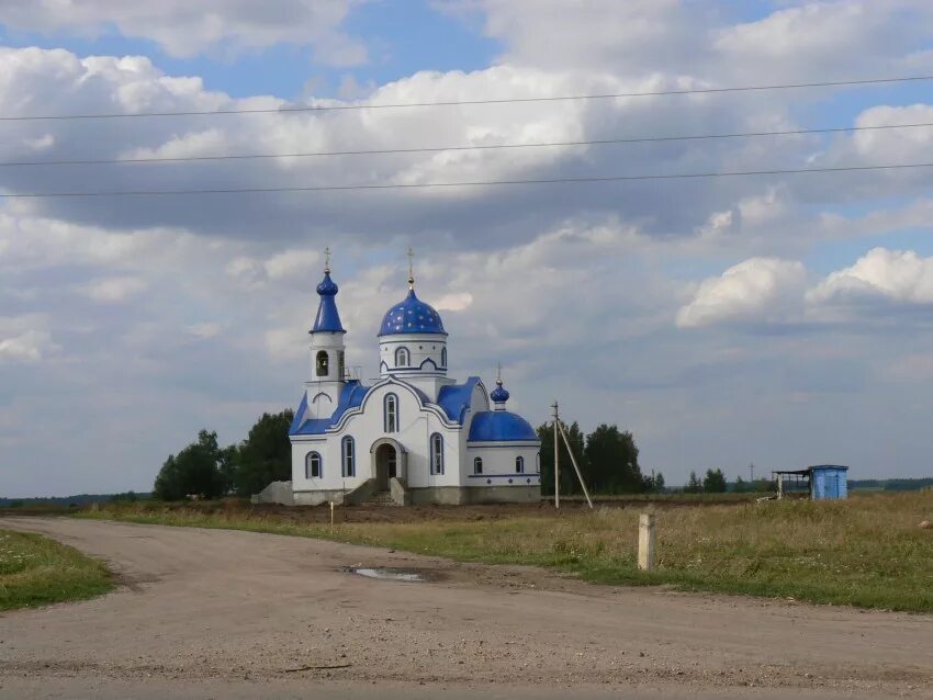 Большая Поляна Тербунского района Церковь. Церковь большая Поляна Тербунский район Липецкая область. Церковь Сергия Радонежского в Липецкой области. Соловые Липецкая обл храм.