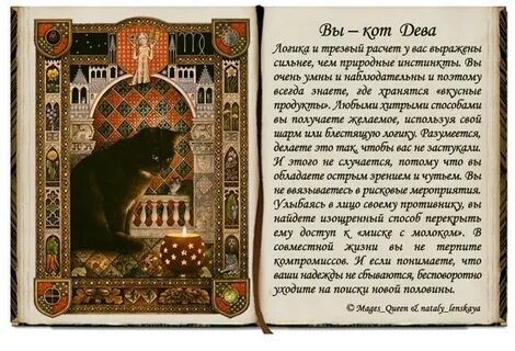 Дева кот