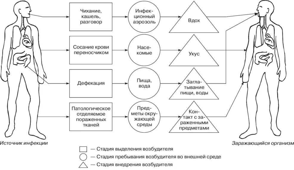 Процессы болезни человека