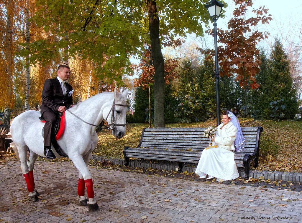 Принц на белом коне. Свадебная фотосессия с лошадьми. Белая лошадь в парке. Принц на белой лошади. Конь жених