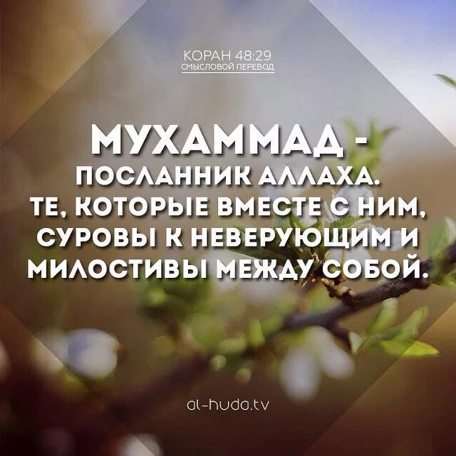 Ассаламу алейкум баракату. Ассаламу алейкум ва РАХМАТУЛЛАХИ ва баракатуху. Ассалямугалейкум. АС-саляму алейкум ва-рахмату-Ллахи ва-баракятух. Салам алейкум уа РАХМАТУЛЛАХИ уа баракатуху на арабском.