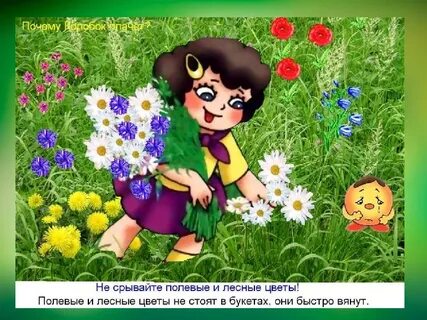 Ребенок рвет цветы
