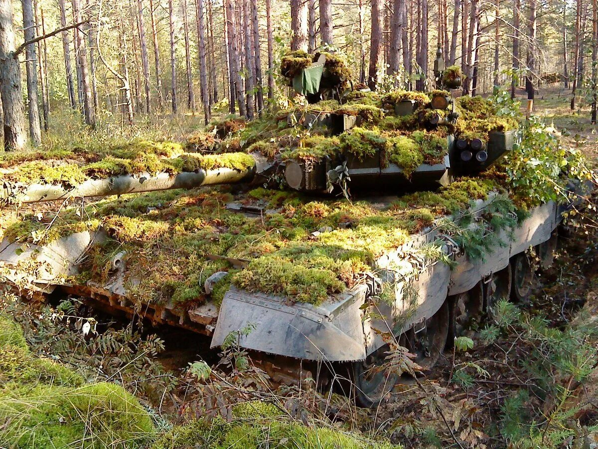 Оборудование на танк леший. Танк т-72 маскировка. Танк т72 в лесу. Маскировка т 72. Замаскированный танк т80.