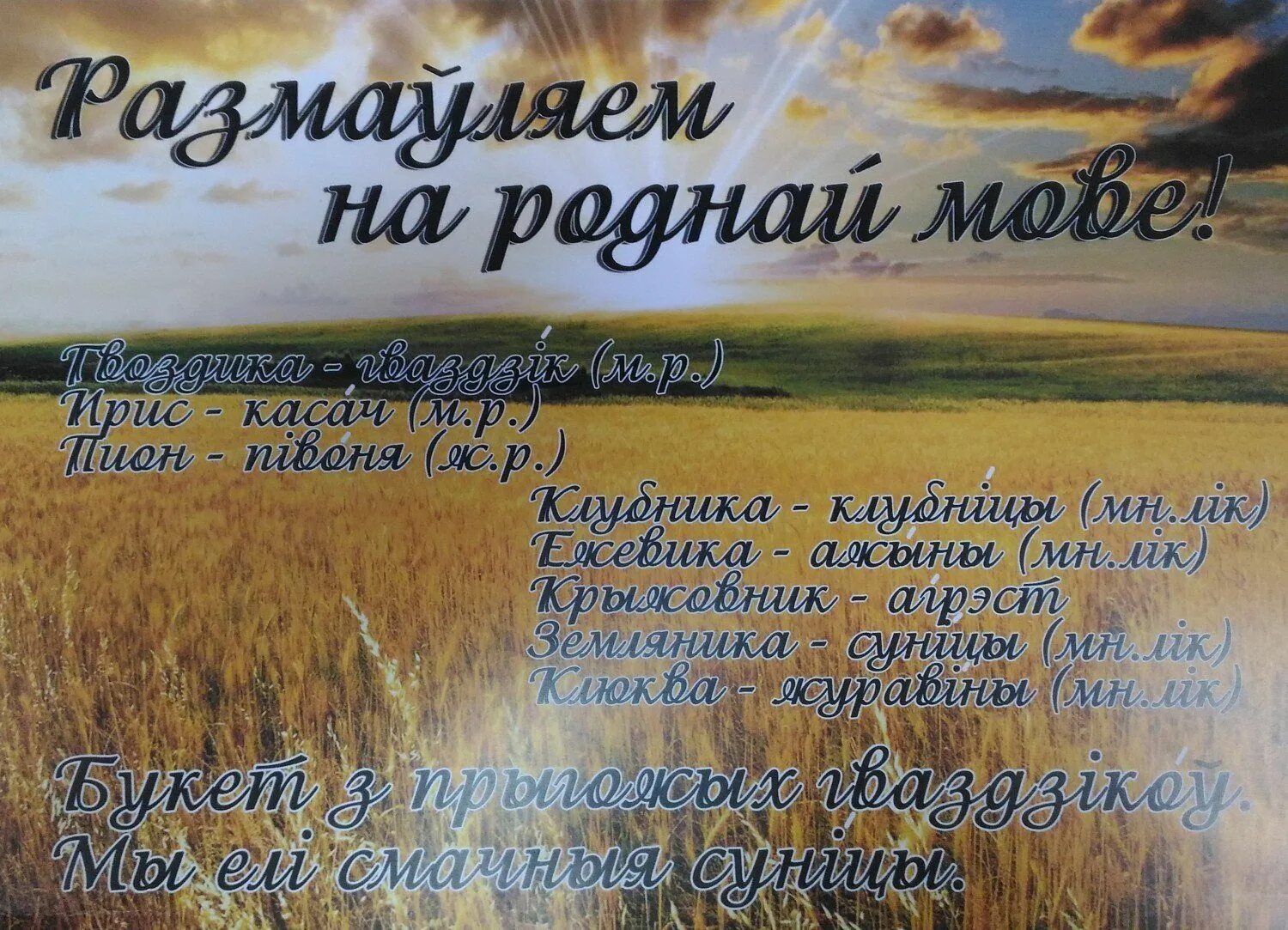 День роднай мовы. День беларускай мовы. Стихи про родную мову. Стихи на белорусском языке. Стихотворение мовы