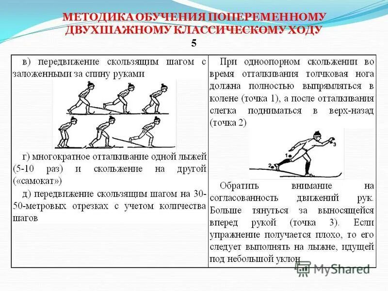 Попеременные лыжные ходы. Ошибки попеременного двухшажного хода. Попеременные лыжные ходы. ( попеременный двухшажный ход). Ошибки при передвижении попеременным двухшажным ходом.