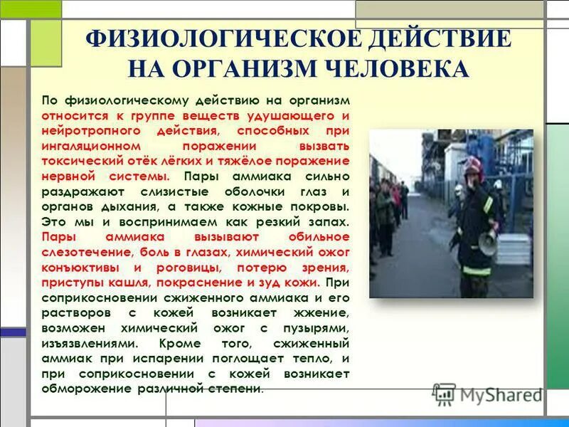 физиологическое действие веществ. влияние токсичных веществ на организм. физиологическое воздействие этанола на организм. физиологическое действие. влияние токсических веществ на организм.