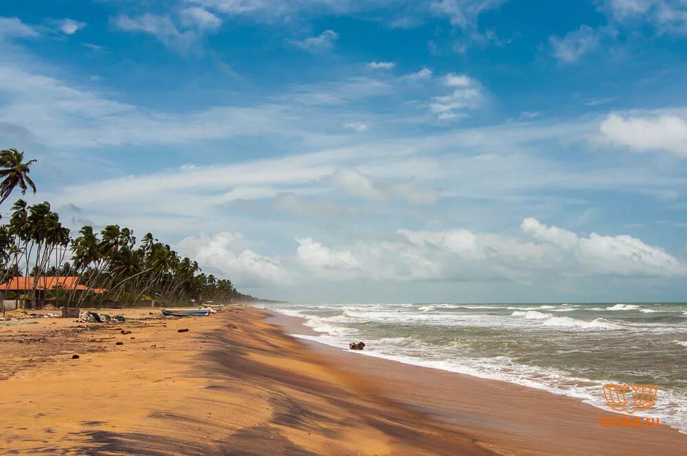 Курорт Ваддува Шри Ланка. Коломбо Шри Ланка пляжи. Пляж Хиккадува Шри Ланка. Ваддува пляж.