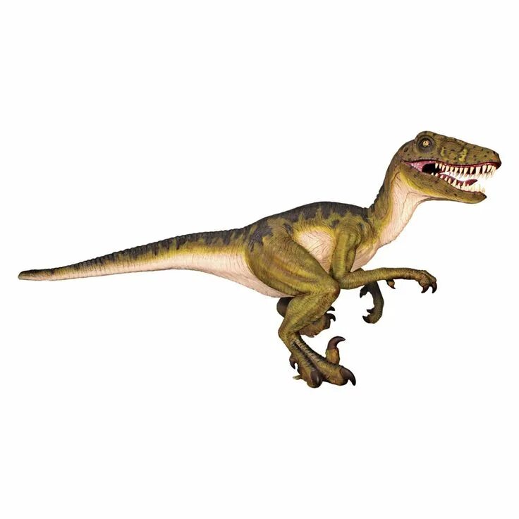 Дромеозавр. Раптор дромеозавр. дромеозавр динозавр. dromaeosaurus albertensis. дромеозавр дейноних.