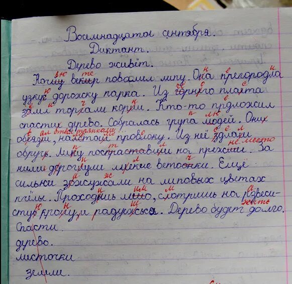 Витя написал сочинение мой городок. Сочинение с ошибками. Диктант с ошибками. Маленький диктант. Русский язык диктант.