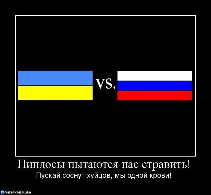 Пендосия. Пиндосы. Америкосы-пиндосы. Мемы про пиндосов. Тупые пиндосы.