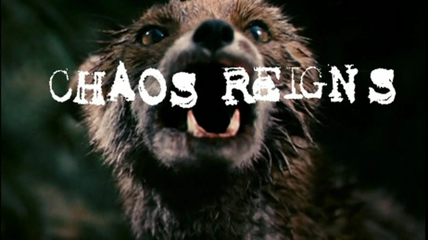 Хаос правит всем. Chaos reigns антихрист. reign of chaos. миром правит хаос.