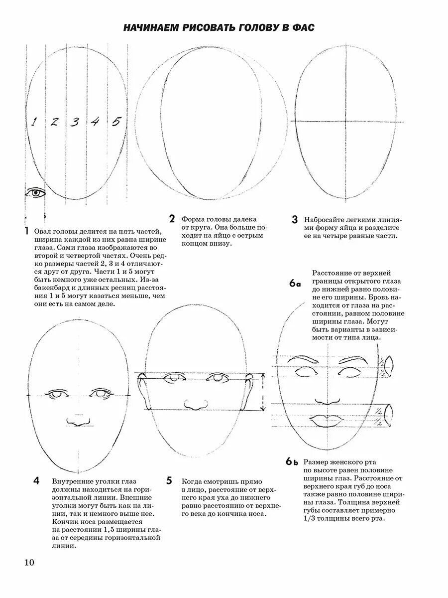 Лицо рисунок схема. Пропорции лица человека схема. Схема пропорций головы человека. Как нарисовать пропорции лица. Пропорции головы человека для рисования.