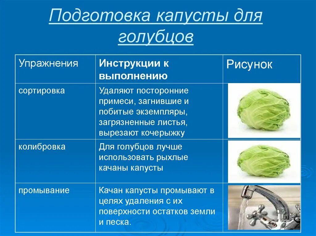 Холодная обработка овощей. Подготовка белокочанной капусты к фаршированию схема. Подготовка капусты для голубцов. Подготовка капусты белокочанной для голубцов. Подготовка капусты к фаршированию для голубцов.