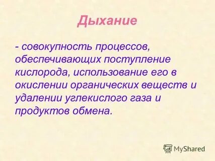Что обеспечивает ей