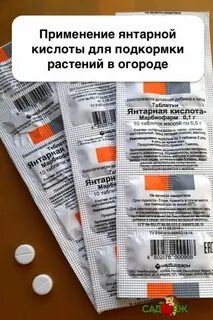 Как правильно подкормить цветы янтарной кислотой