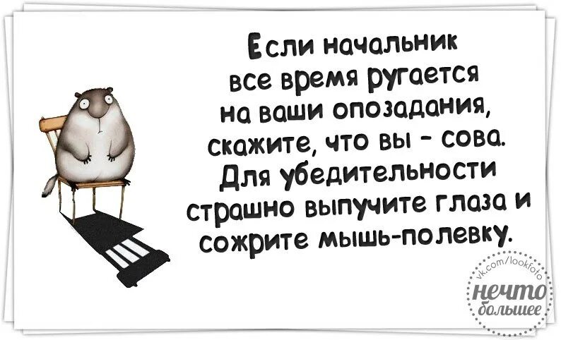 Видео матерится во время. Для убедительности выпучив глаза и съев мышь. Скажите что вы Сова и сожрите мышь. Талантливые люди ленивы. Скажи начальнику что ты Сова.