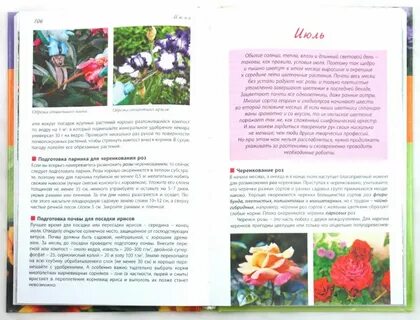 Календарь цветовода на июль