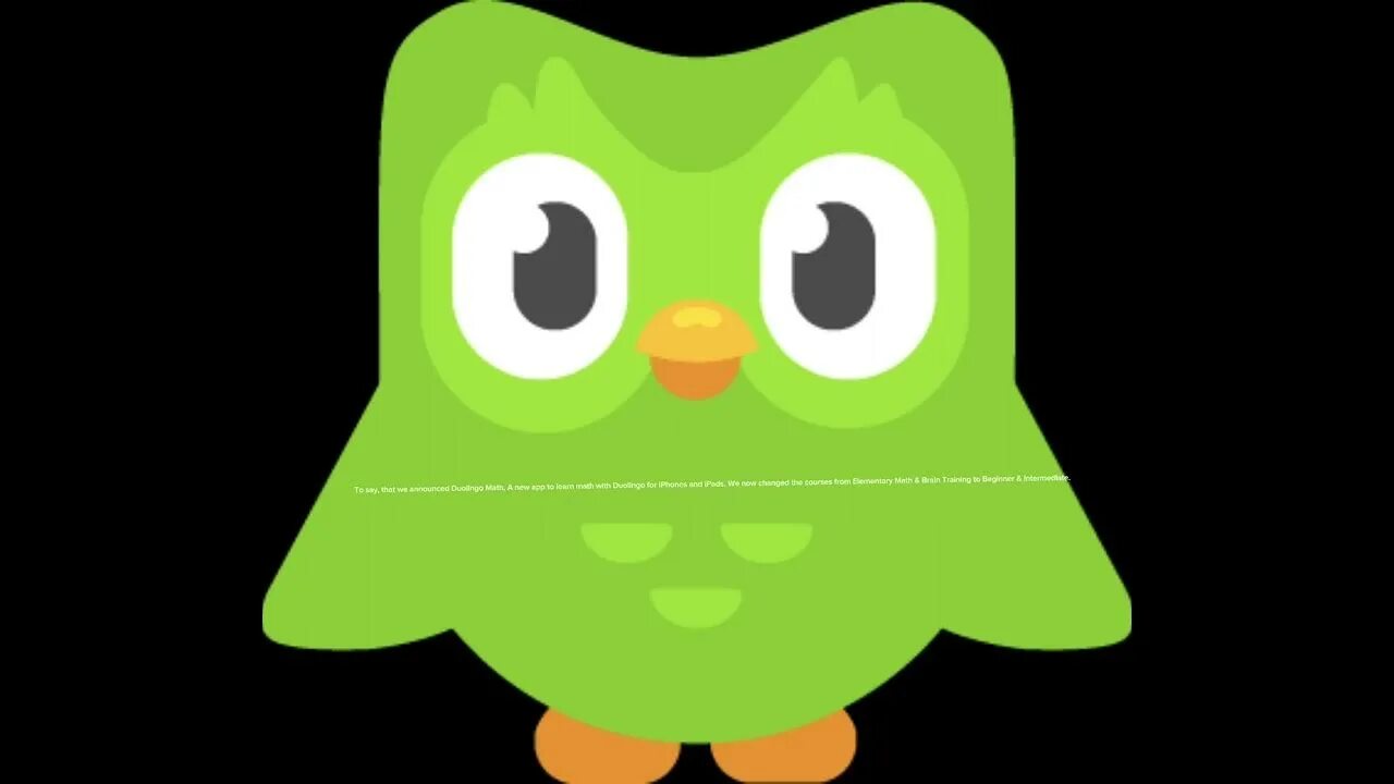 Зеленая Сова приложение. Сова Дуолинго. Duolingo игрушка. Зелёная Сова английский. Зеленая сова английский