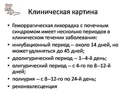 Почечная лихорадка лечение