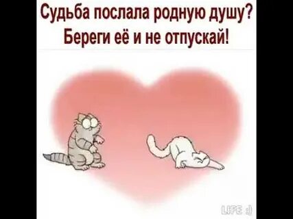 Родной души пиши песня