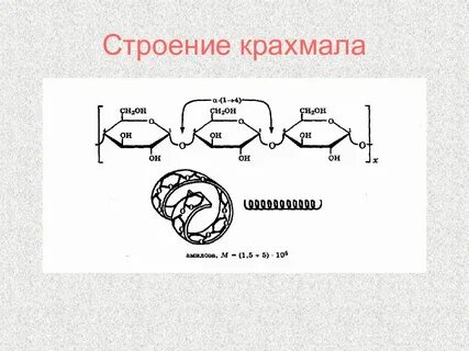 Фазы крахмала