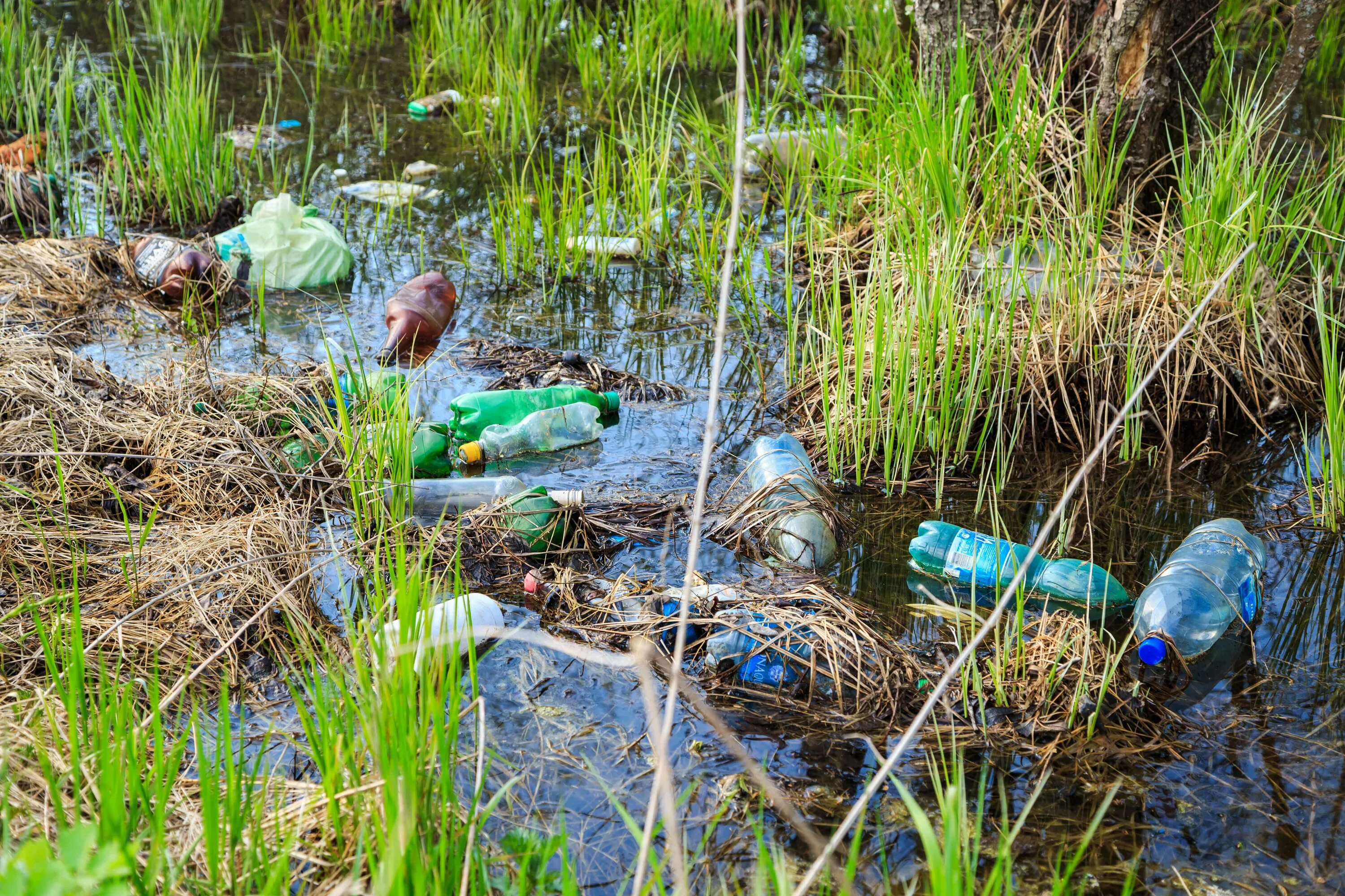 Harmful to the environment