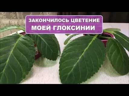 Набрать лист