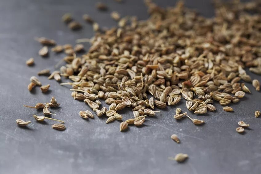 семена укропа приправа. укроп семена. зира (кумин) римский тмин. зира горная. ) старослав.