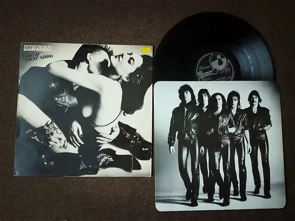 Scorpions Love at first Sting 1984. Scorpions 1984 Love at first Sting LP. Scorpions Love at first Sting обложка. Scorpions Love at first Sting 1984 обложка.