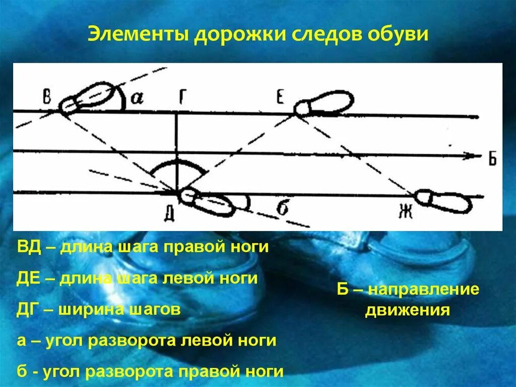 Элементы дорожки следов ног. Элементы дорожки следов криминалистика. Схема дорожки следов. Схему измерения дорожки следов ног.