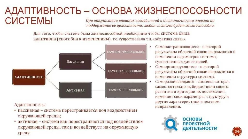 Адаптивность. Адаптивность личности в психологии. Адаптивная личность. Жизнеспособность системы.