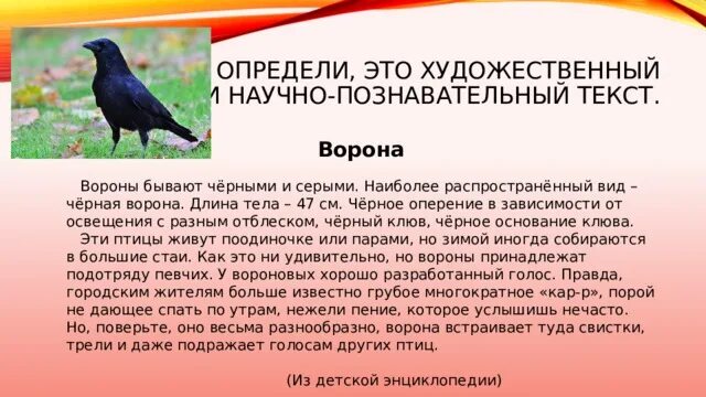 Ею вороны текст