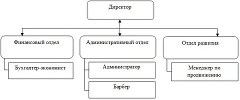 Организационная система курсовая